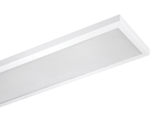 5f15863ede326842990236.png