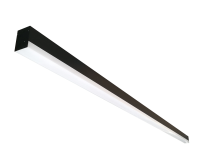 6336e55b66c71556620802.png